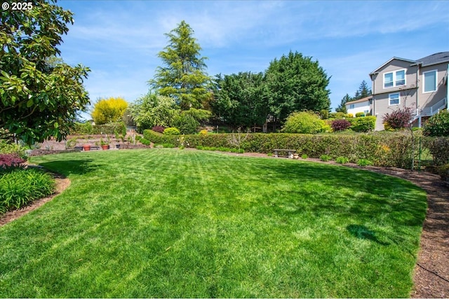 view of yard