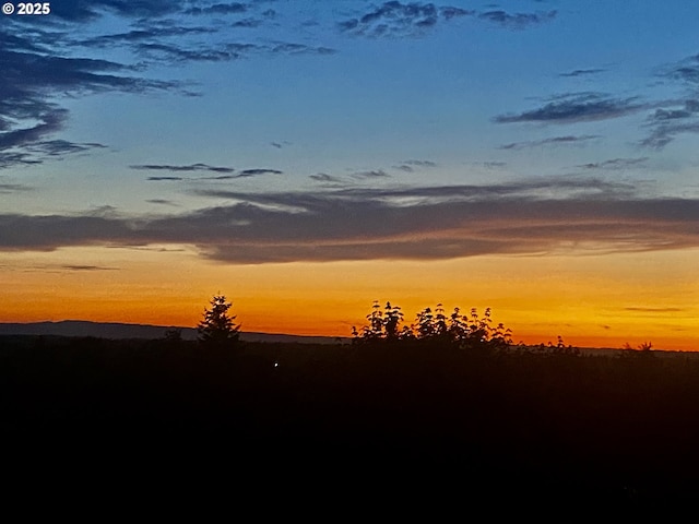 view of nature at dusk