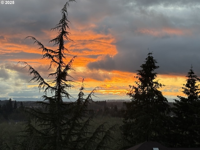 view of nature at dusk