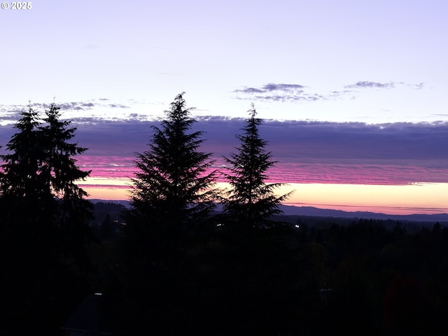 mountain view