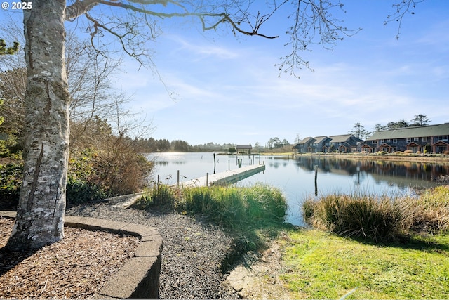 dock area featuring a water view