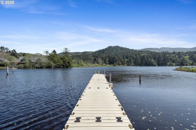 view of dock with a water and mountain view