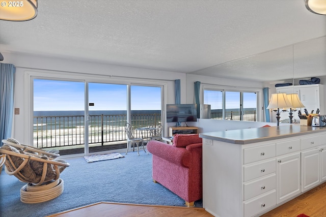 4229 SW Beach Ave Unit 27, Lincoln City, OR 97367 - living area featuring light wood finished floors and a textured ceiling