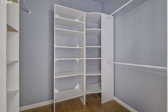 spacious closet featuring hardwood / wood-style flooring