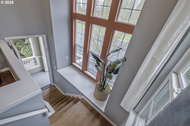 interior space featuring hardwood / wood-style flooring, a healthy amount of sunlight, and a high ceiling