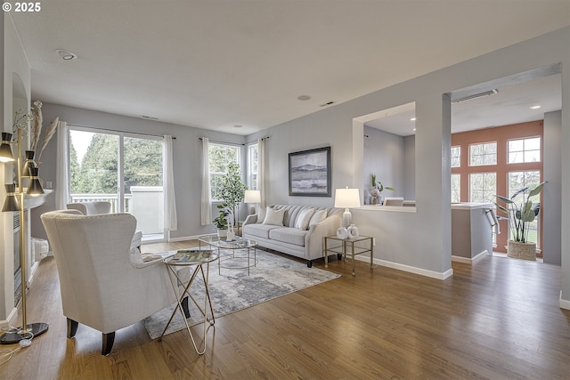 living room with hardwood / wood-style flooring and a wealth of natural light