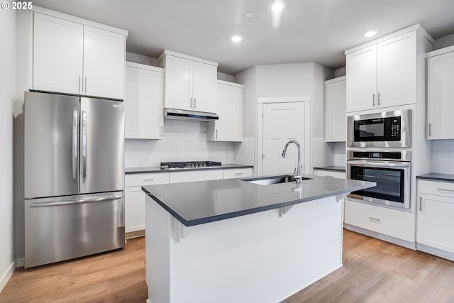 kitchen with light wood finished floors, dark countertops, appliances with stainless steel finishes, under cabinet range hood, and a sink