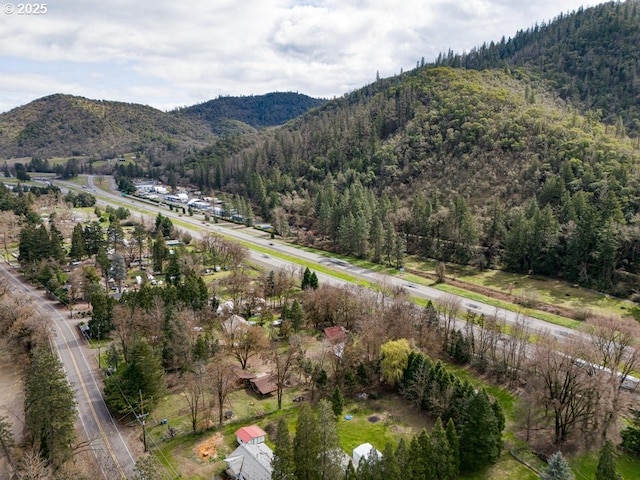 725 Rogue River Hwy, Gold Hill, OR 97525 - property view of mountains featuring a forest view