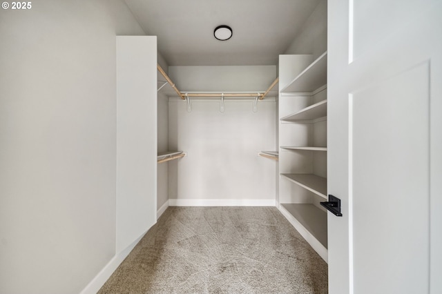 walk in closet with light carpet