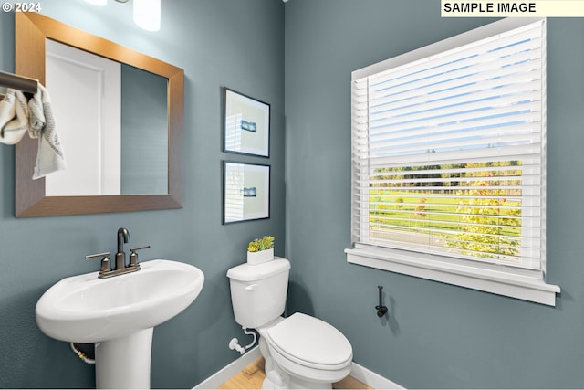 bathroom featuring sink and toilet