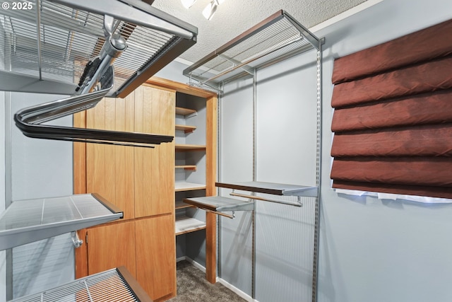 17445 S Beckman Rd, Oregon City, OR 97045 - walk in closet featuring carpet floors