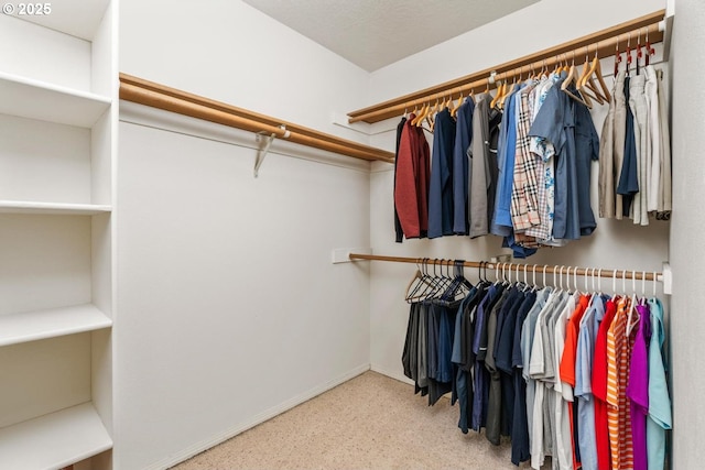 view of walk in closet