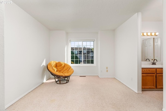 living area with sink and a textured ceiling