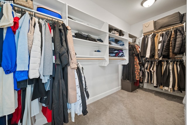 4604 NE 119th St, Vancouver, WA 98686 - spacious closet with carpet flooring