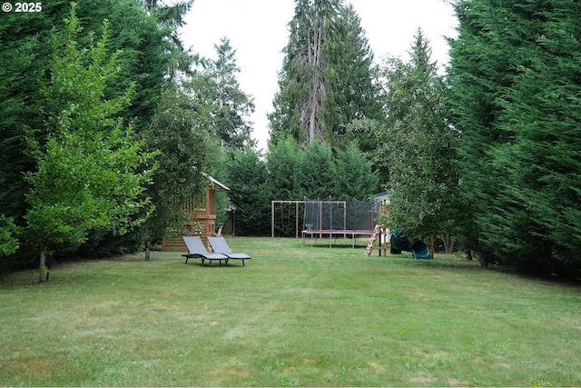 4604 NE 119th St, Vancouver, WA 98686 - view of yard featuring a trampoline and a playground