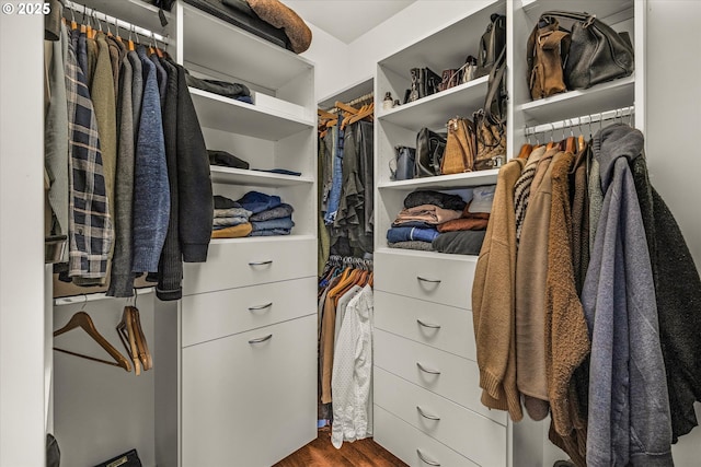 spacious closet featuring dark wood finished floors