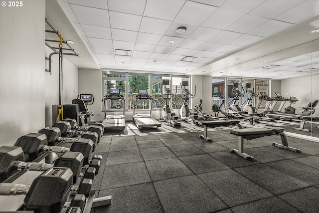 workout area with a wall of windows and a paneled ceiling