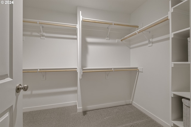 3610 Ash St Lot 17, Forest Grove, OR 97116 - walk in closet featuring carpet