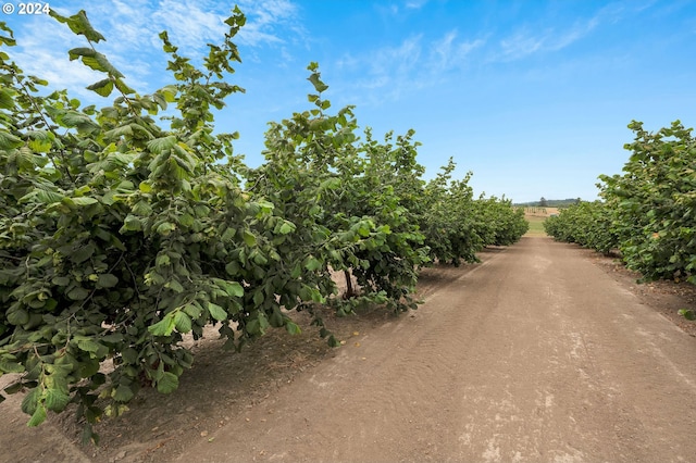 6836 NW Bony Rd, Yamhill, OR 97148 - view of dirt / gravel road featuring agricultural area and a view of countryside