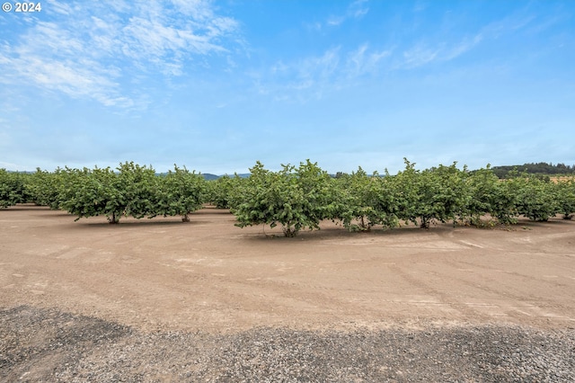 6836 NW Bony Rd, Yamhill, OR 97148 - view of yard featuring agricultural plots and a rural view