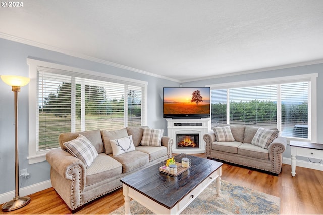 6836 NW Bony Rd, Yamhill, OR 97148 - living room with crown molding, baseboards, light wood-style flooring, and a glass covered fireplace