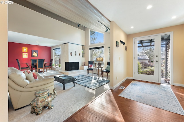 living room with hardwood / wood-style floors, rail lighting, a large fireplace, and a healthy amount of sunlight