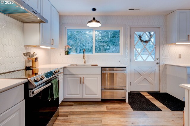 24492 SE Three Cedars St, Damascus, OR 97089 - kitchen with appliances with stainless steel finishes, under cabinet range hood, light countertops, and light wood-type flooring