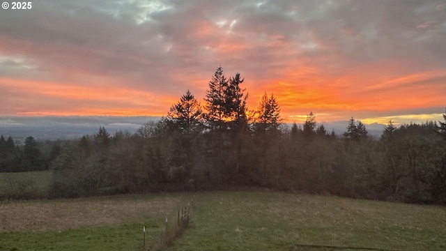 view of yard at dusk