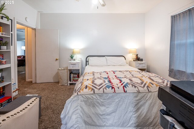 bedroom with carpet flooring