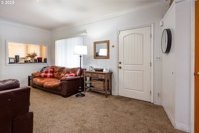 living room featuring carpet floors