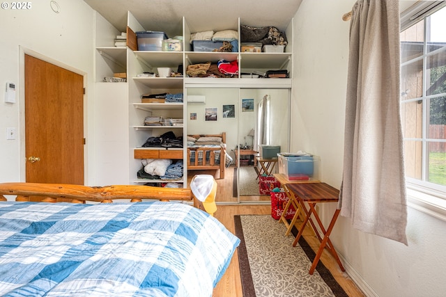 bedroom with multiple windows and wood-type flooring