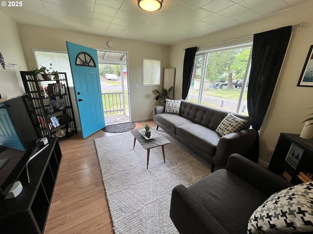 337 Clark St, Eugene, OR 97401 - living room featuring light wood-style flooring