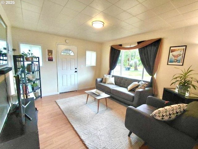337 Clark St, Eugene, OR 97401 - living room featuring light wood-style floors