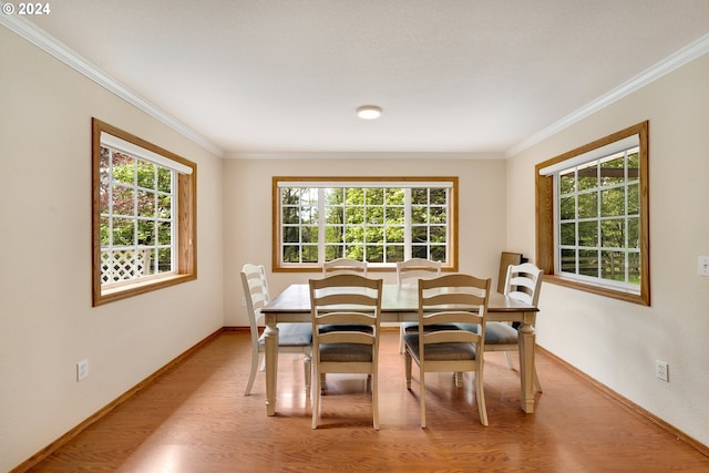 dining space with light hardwood / wood-style floors, crown molding, and a healthy amount of sunlight