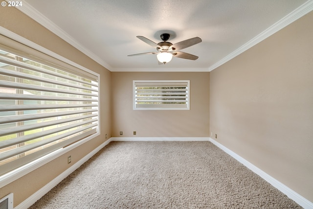 spare room featuring ceiling fan and ornamental molding