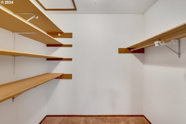 spacious closet with carpet flooring