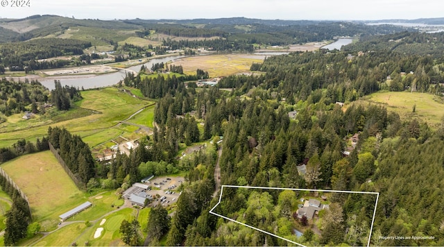 bird's eye view with a water and mountain view