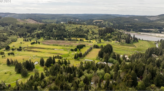 bird's eye view with a water and mountain view