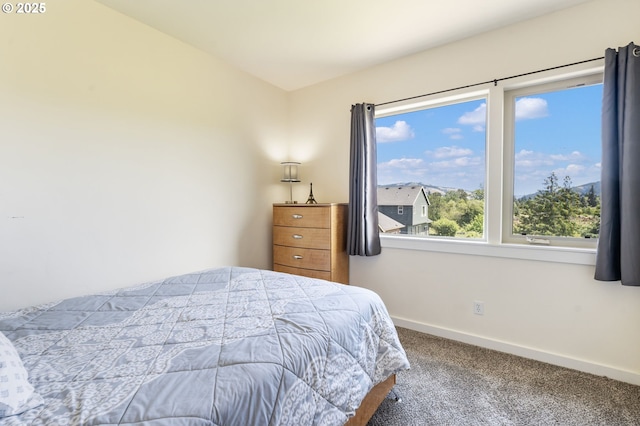1105 29th St, Hood River, OR 97031 - carpeted bedroom with baseboards