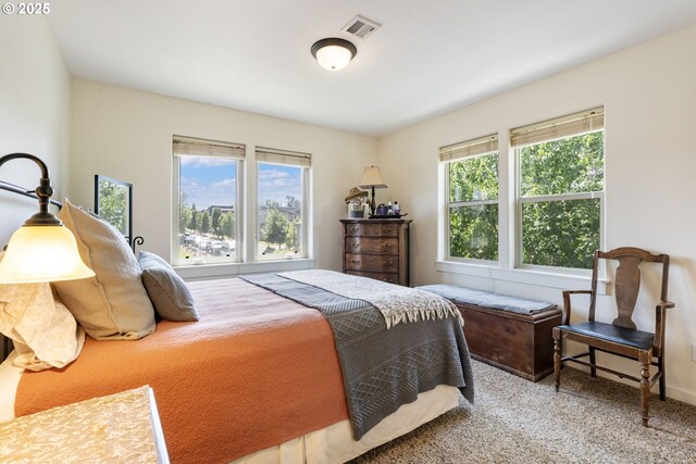1105 29th St, Hood River, OR 97031 - view of carpeted bedroom