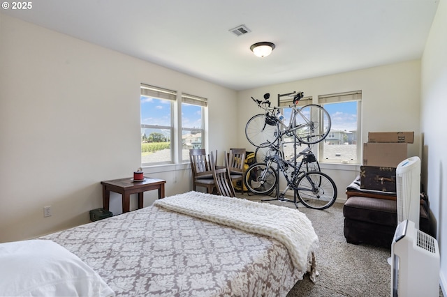 1105 29th St, Hood River, OR 97031 - view of carpeted bedroom