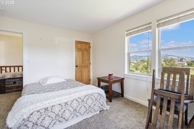 1105 29th St, Hood River, OR 97031 - carpeted bedroom with multiple windows and baseboards