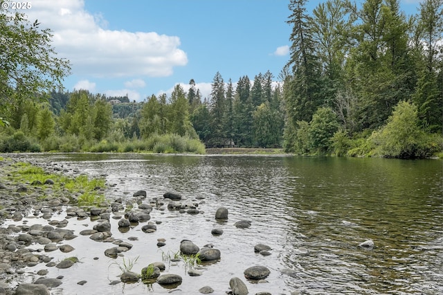 water view featuring a heavily wooded area