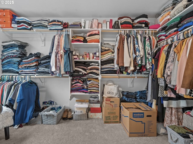 spacious closet with carpet