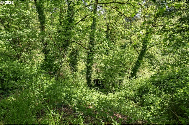 865 SE Roberts Ct, Mcminnville, OR 97128 - view of landscape with a view of trees