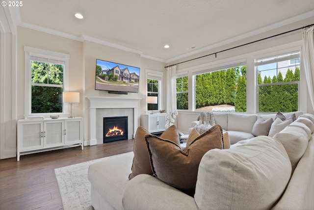 16943 SW Snowdale St, Beaverton, OR 97007 - living room featuring ornamental molding, a lit fireplace, dark wood finished floors, and recessed lighting