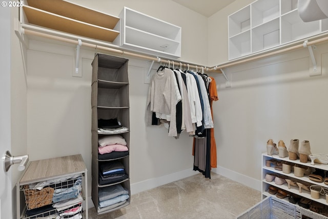 16943 SW Snowdale St, Beaverton, OR 97007 - spacious closet with carpet floors