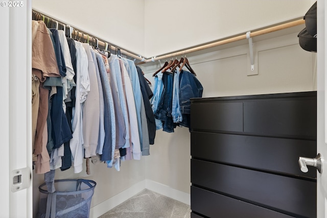 16943 SW Snowdale St, Beaverton, OR 97007 - spacious closet featuring carpet flooring