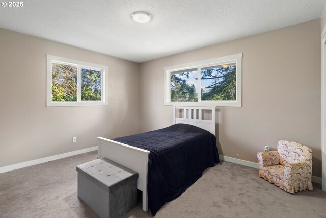 carpeted bedroom with baseboards and a textured ceiling