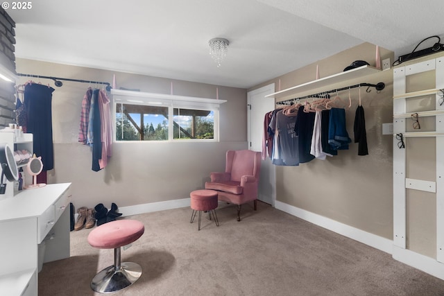 sitting room featuring baseboards and carpet floors